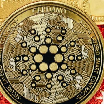 Decoding The Economic Impact Of Cardano And Avorak AI Adoption