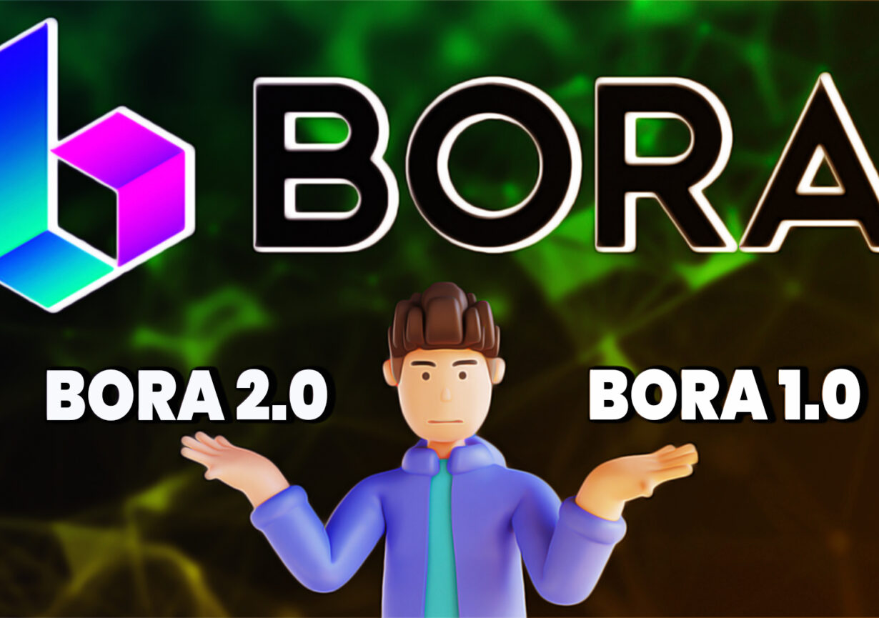 Why Was BORA Born, and How is BORA 2.0 Better Than BORA 1.0?