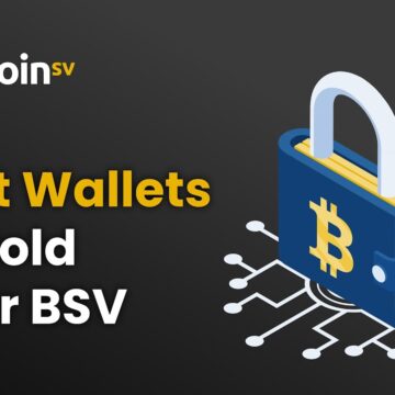 Best Wallets to Hold Your BSV