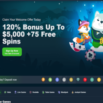 Maximizing Your Gaming Experience with Wild.io Casino’s Exclusive Bonuses