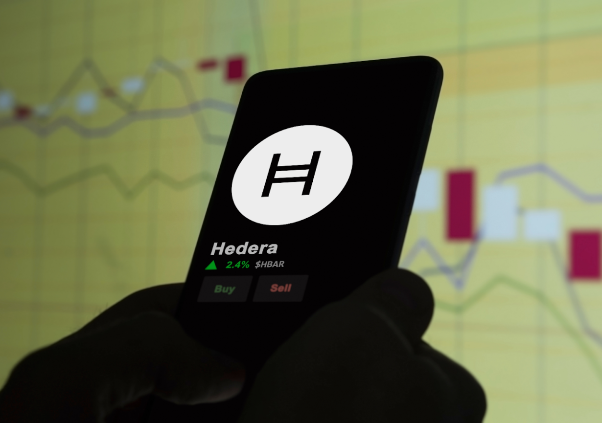 Can Hedera and Arbitrum Keep Up with Pushd This Quarter? Analysts Rumor 50X Gains