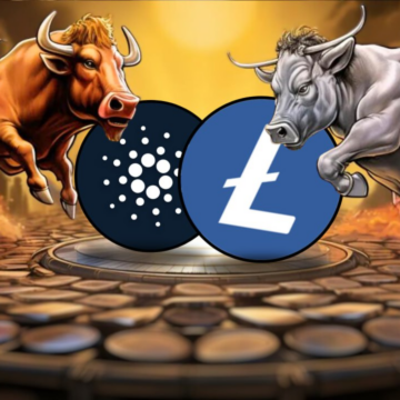 LTC